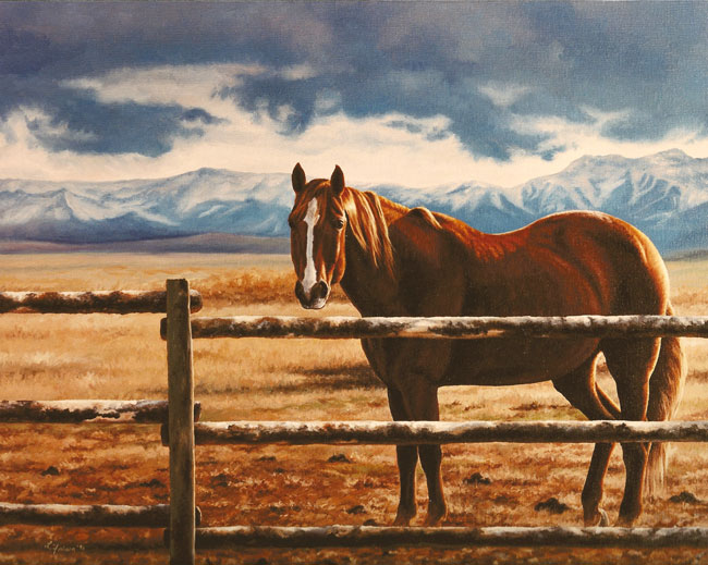 Quarter Horse Paintings