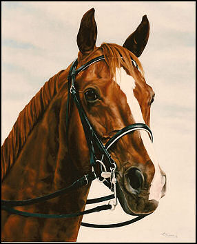 Commissioned Portraits from Laurie Friesen - Canadian Equine Artist